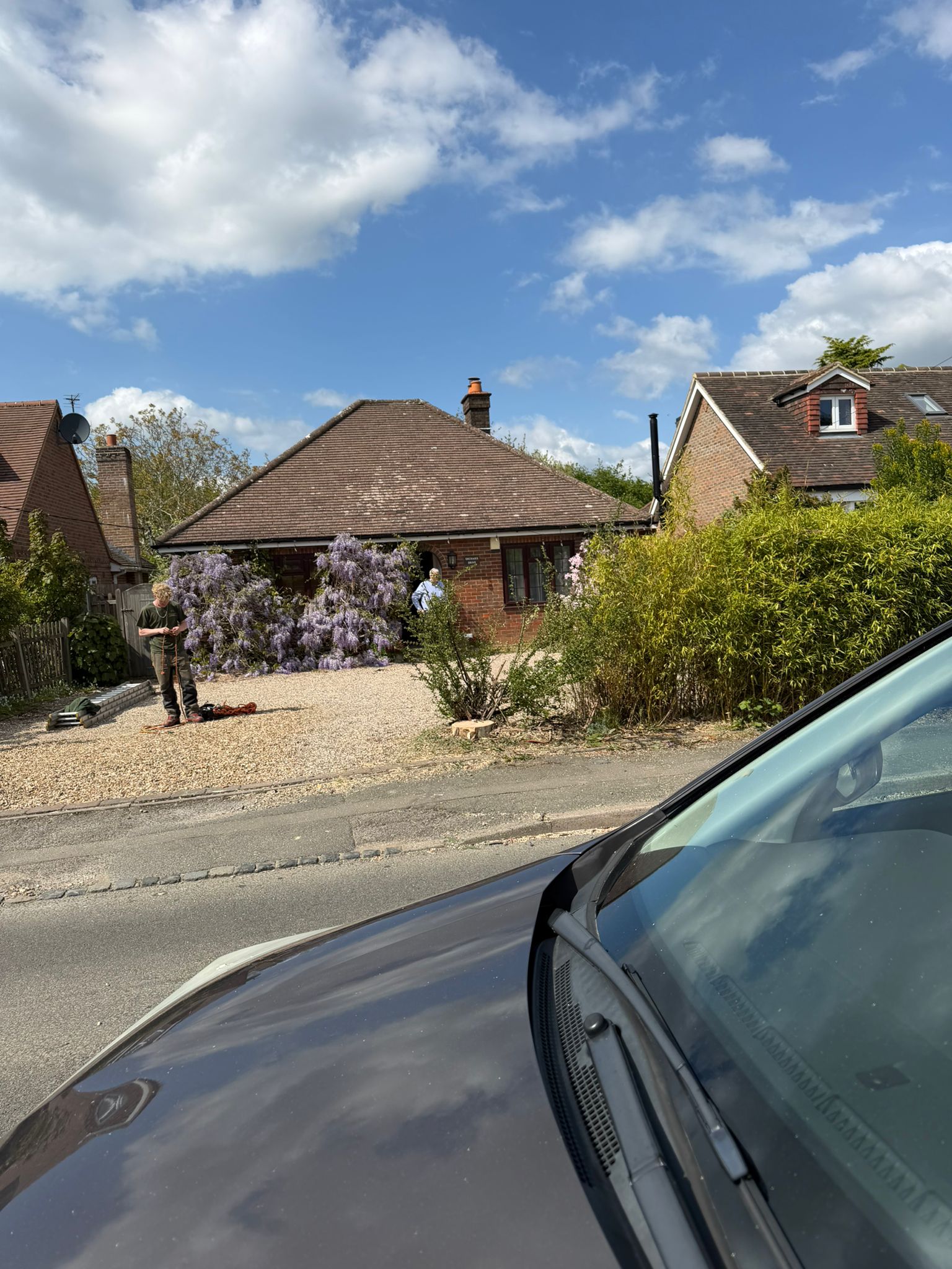 Stump left after tree was cut down outside home in Harrow Stump left after tree was cut down outside home in Harrow